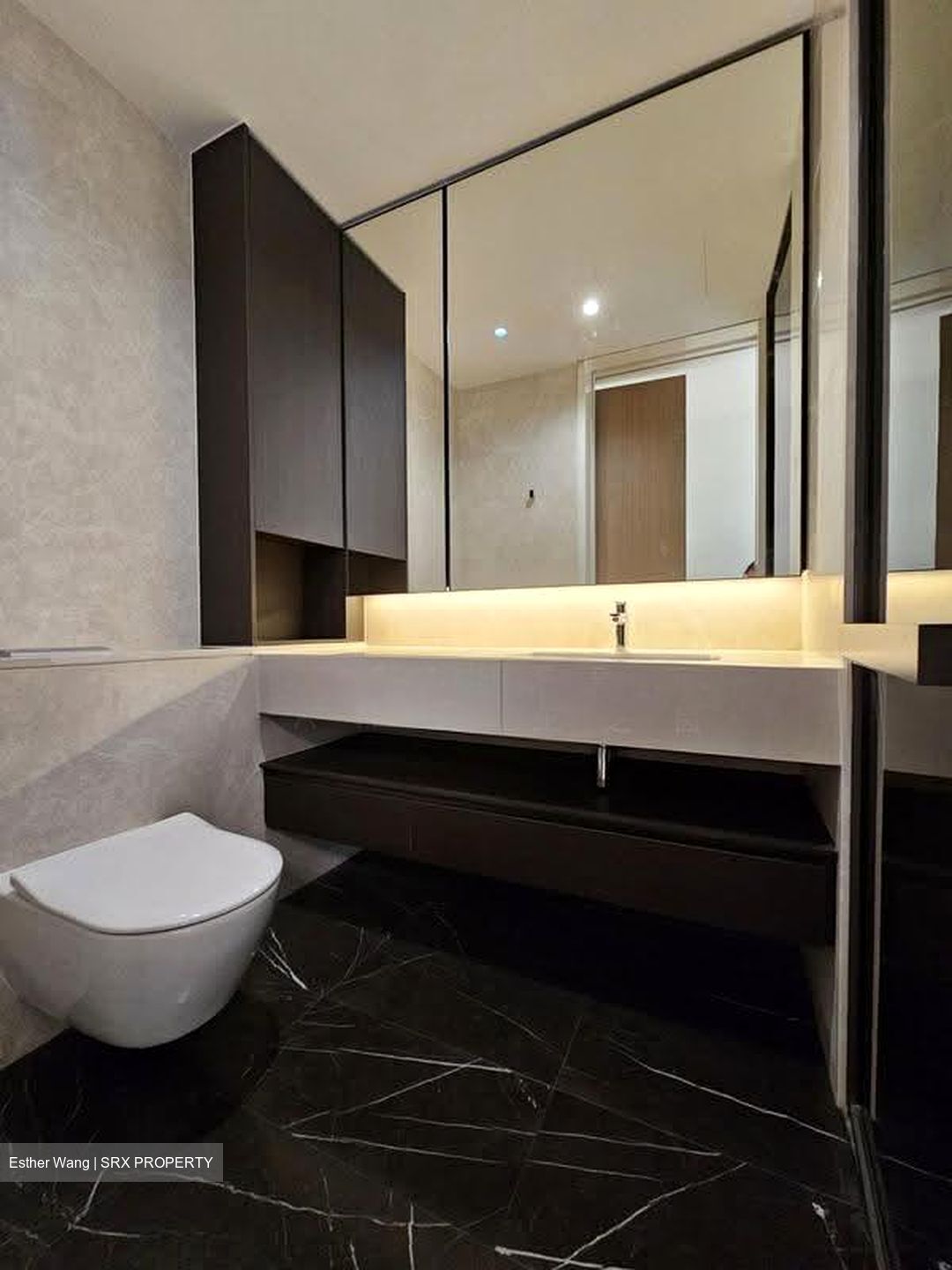 Amber Park (D15), Condominium #636557431